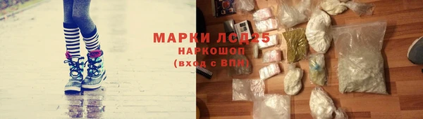 индика Михайловск
